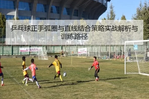 乒乓球正手弧圈与直线结合策略实战解析与训练路径